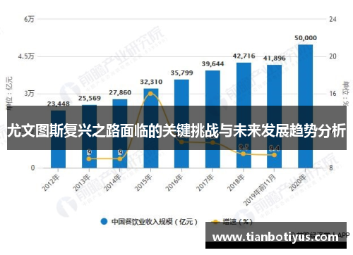 尤文图斯复兴之路面临的关键挑战与未来发展趋势分析