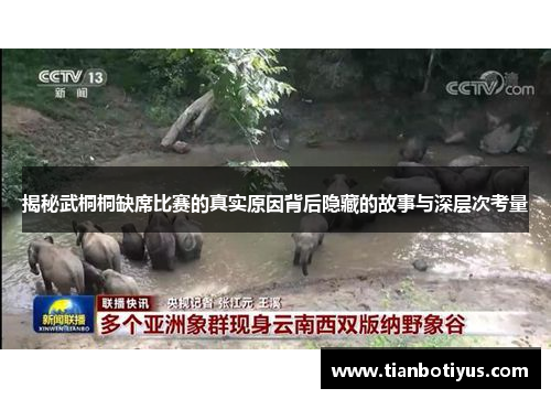 揭秘武桐桐缺席比赛的真实原因背后隐藏的故事与深层次考量