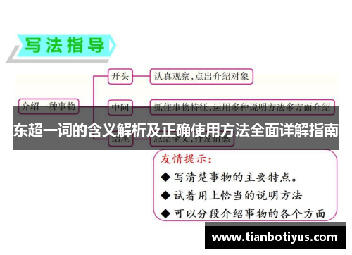 东超一词的含义解析及正确使用方法全面详解指南