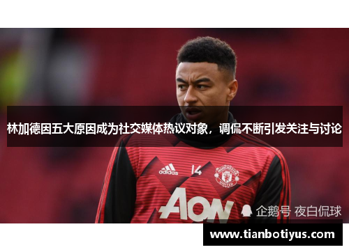 林加德因五大原因成为社交媒体热议对象，调侃不断引发关注与讨论