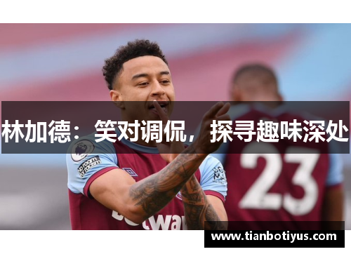 林加德：笑对调侃，探寻趣味深处