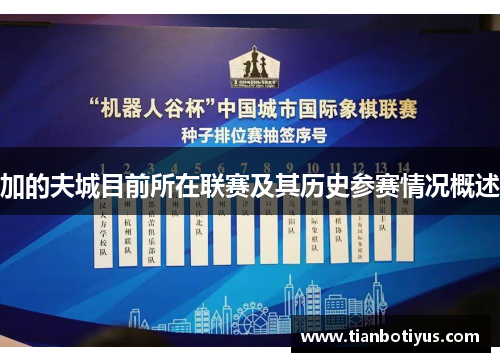 加的夫城目前所在联赛及其历史参赛情况概述