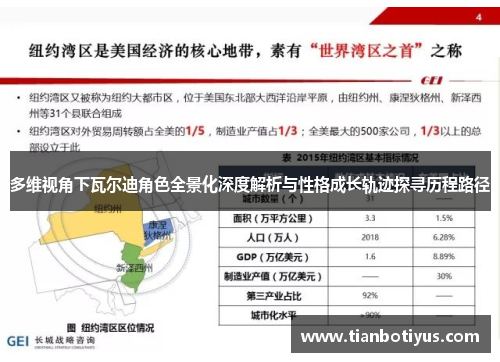多维视角下瓦尔迪角色全景化深度解析与性格成长轨迹探寻历程路径